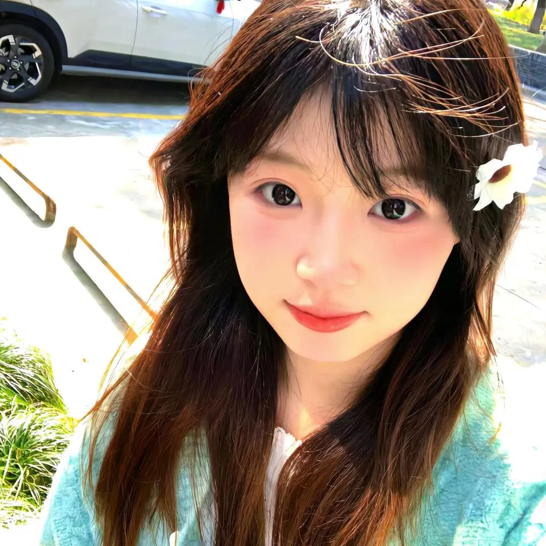 狂风飞絮